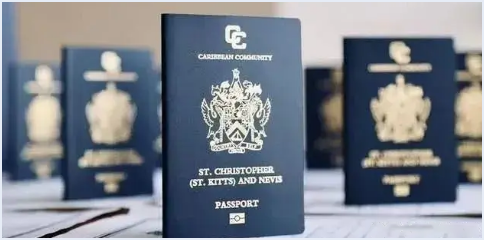 小国护照