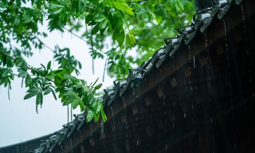移民美国