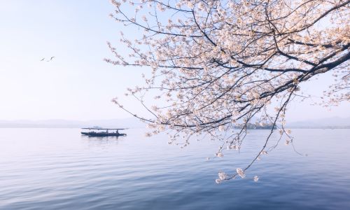 移民澳洲