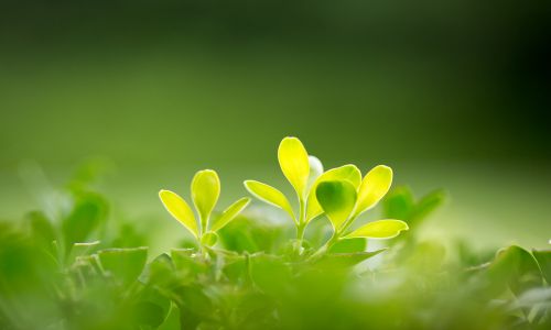 申请中国香港优才计划，这些常见问题要明确！