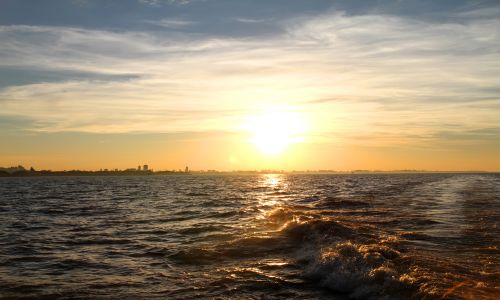 新加坡自雇EP全攻略，解锁亚洲商业跳板申请逻辑！