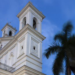 圣卢西亚护照 圣卢西亚护照